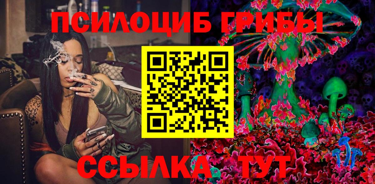 Псилоцибиновые грибы мицелий Гурьевск