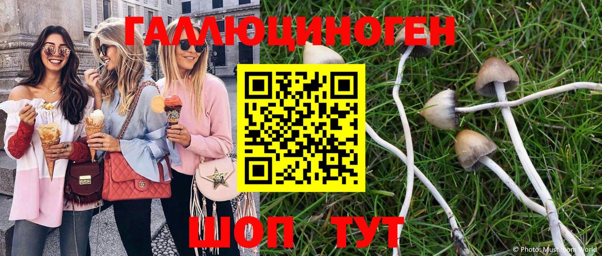 Гурьевск  Псилоцибиновые грибы Cubensis  Вход с VPN  Псилоцибиновые грибы GOLDEN TEACHER 