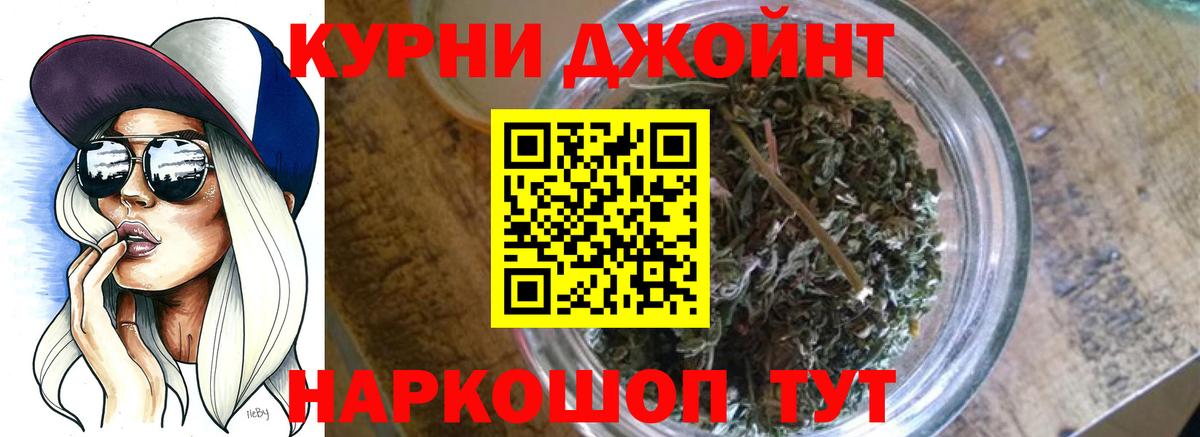 Бошки Шишки планчик Гурьевск